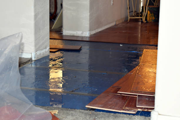 Professional Burst Pipe Cleanup technician working in New River, AZ